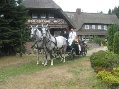 Undeloher Hof Esterno foto